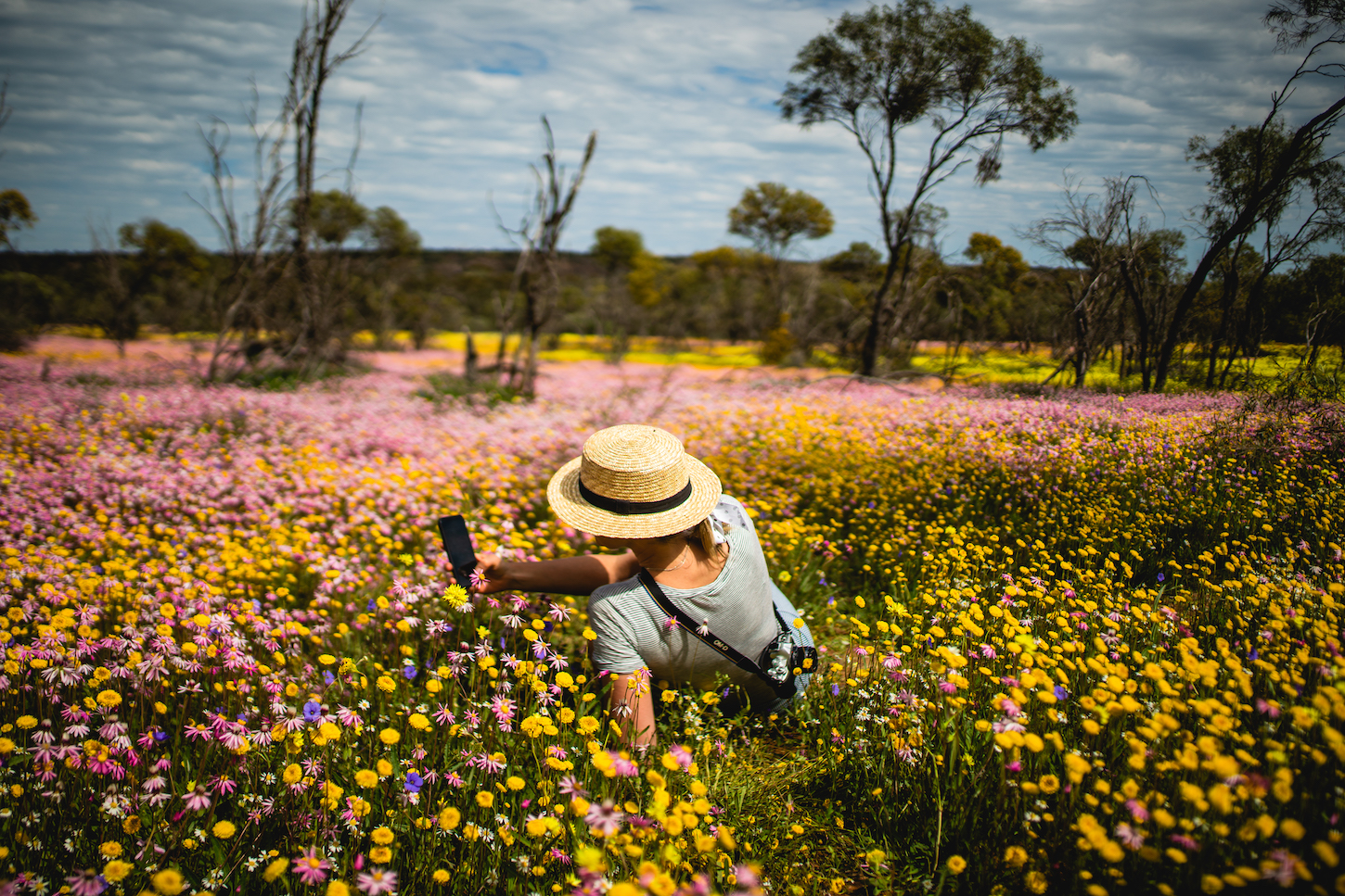Coalseam National Park