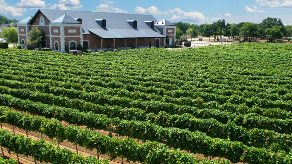 Texas 3 Days, 3 Cities Dallas, Fort Worth, Grapevine