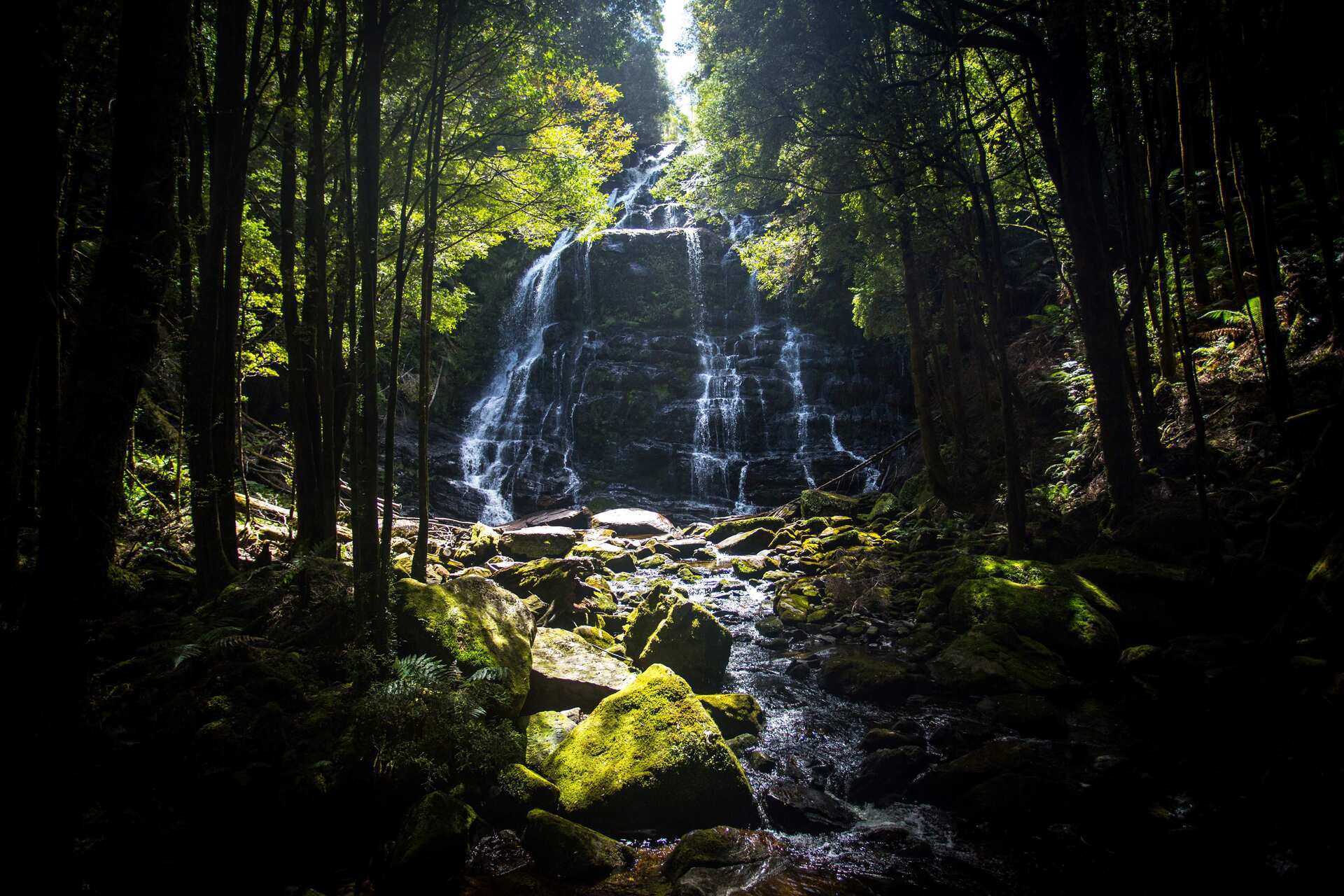 1.8mb TT Graham Freeman Nelson Falls