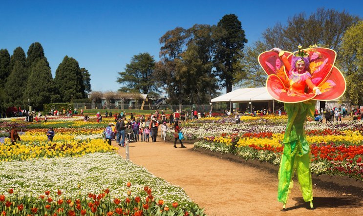 /webdata/images/events/floriade-festival-canberra.jpg