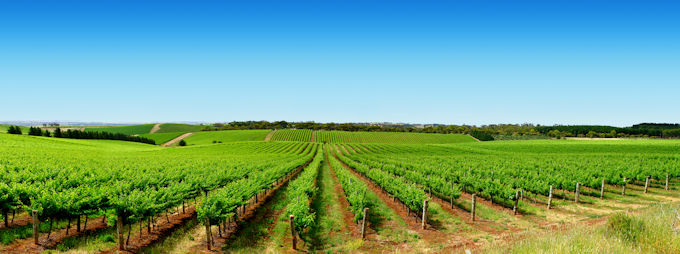 Barossa Valley